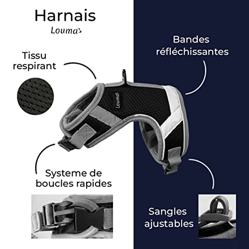 LOUMA Kit de accesorios correa retráctil 3 m arnés con 3 tamaños para perros gatos, gatos y animales pequeños (cachorro, gatos, conejo, hierro y flor) Chaleco con bandas reflectantes para perros gatos
