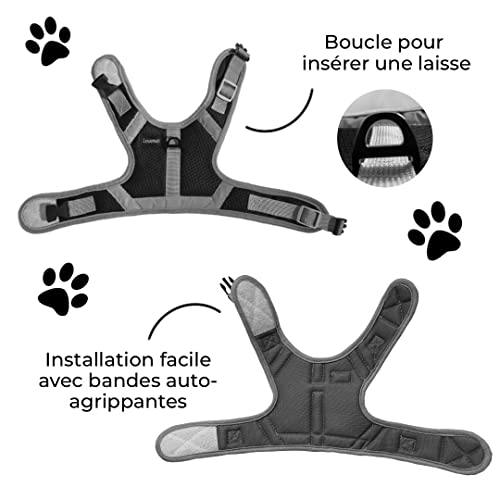 LOUMA Kit de accesorios correa retráctil 3 m arnés con 3 tamaños para perros gatos, gatos y animales pequeños (cachorro, gatos, conejo, hierro y flor) Chaleco con bandas reflectantes para perros gatos