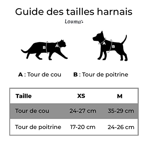 LOUMA Kit de accesorios correa retráctil 3 m arnés con 3 tamaños para perros gatos, gatos y animales pequeños (cachorro, gatos, conejo, hierro y flor) Chaleco con bandas reflectantes para perros gatos