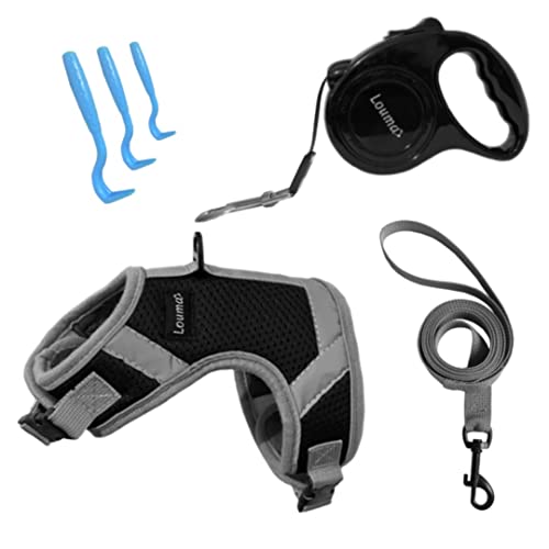 LOUMA Kit de accesorios correa retráctil 3 m arnés con 3 tamaños para perros gatos, gatos y animales pequeños (cachorro, gatos, conejo, hierro y flor) Chaleco con bandas reflectantes para perros gatos