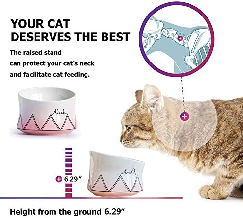 lovecabin Comedero Gato Elevado Inclinado, Comedero Gato Antivomito, Material Saludable De Grado Alimenticio, Bigotes Sin Estrés, Antideslizante para Gatos/Perros Pequeños, 250mlPink