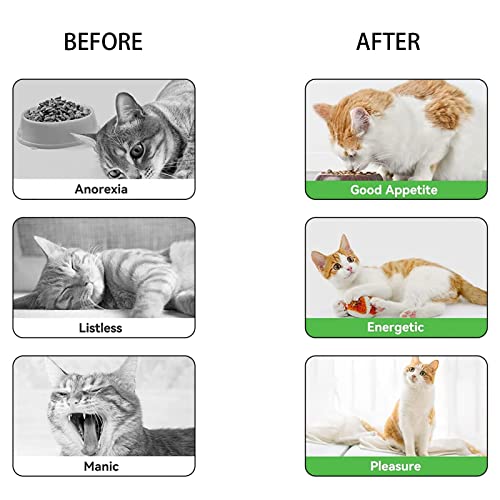 Lrxinki Paquete de 2 palos de hierba gatera para gatos, juguetes de gato interactivos de felpa para gatos, palitos de masticación de gato naturales Matatabi Silvervine palitos
