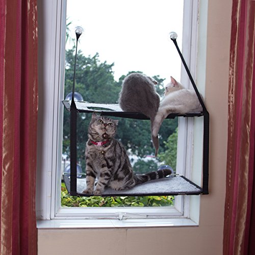 L.S Hamaca Gato Ventana Camas Gatos hasta 25KG Estructura Metálica Estable Esteras Blandas Cama (Gatos Doble, Gris) (Gato Cara)