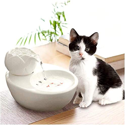 L.TSA Dispensador de Agua para Mascotas para Perros o Gatos Tazón para Gatos, Agua suavizada de oxígeno Activo circulante silenciosa, Mudo fácil de Limpiar