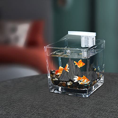 luckxuan Peceras Desktop Cuadrado Pequeño Tanque de Peces Tanque de Invitados Oficina Pequeño Muebles Taza de té Vidrio Jardinería Lucha Fácil Peces Tanque Acuarios (Size : C)