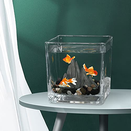 luckxuan Peceras Desktop Cuadrado Pequeño Tanque de Peces Tanque de Invitados Oficina Pequeño Muebles Taza de té Vidrio Jardinería Lucha Fácil Peces Tanque Acuarios (Size : C)