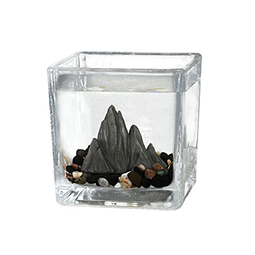 luckxuan Peceras Desktop Cuadrado Pequeño Tanque de Peces Tanque de Invitados Oficina Pequeño Muebles Taza de té Vidrio Jardinería Lucha Fácil Peces Tanque Acuarios (Size : C)