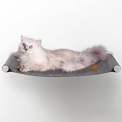Lucky Lamb ® CozyCat – Hamaca para gatos de fieltro | El espacio especial para dormir para gatos y gatos o gatos en 60 x 30 cm hasta 12 kg gris antracita | Cama para gatos estable con montaje en pared