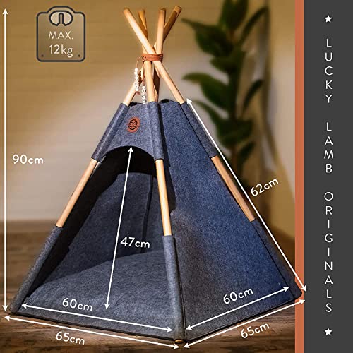 Lucky Lamb Tipi para perros y gatos | tienda de fieltro en 65 x 65 x 90 cm hasta 12 kg | cama para perros y gatos en antracita gris incluye cojín | + perlas para nombre