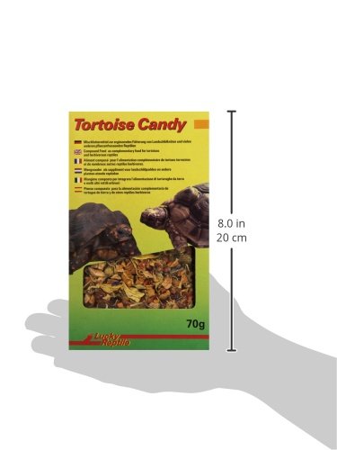 Lucky Reptile Carey Candy