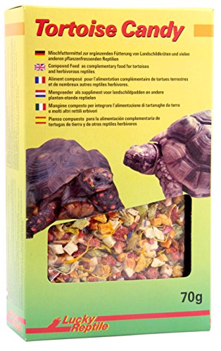 Lucky Reptile Carey Candy
