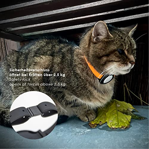 LucyBalu Collar para gatos NEMO para AirTag* I seguro, ligero y cómodo I Collar para gatos con cierre de seguridad I Compatible con Apple AirTag I Correa de silicona naranja neón