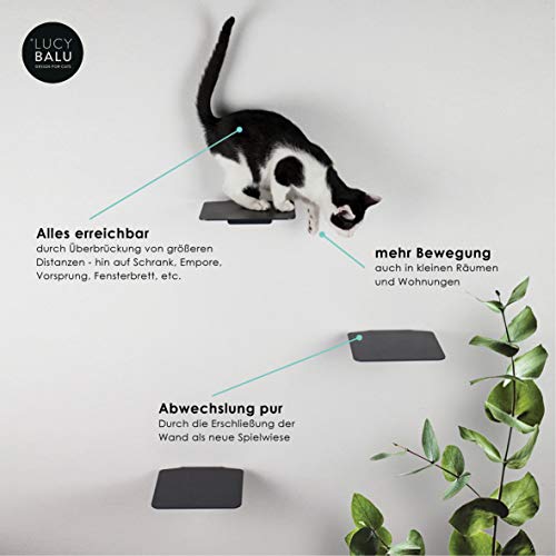 LucyBalu Pared de escalada para gatos I Juego de 3 escaleras I Steps 18 x 18 cm I Steps XL 20 x 24 cm I blanco y antracita