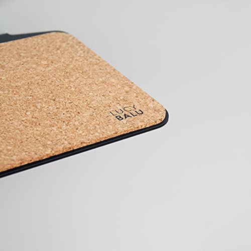 LucyBalu Pared de escalada para gatos I Juego de 3 escaleras I Steps 18 x 18 cm I Steps XL 20 x 24 cm I blanco y antracita