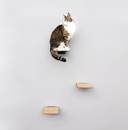 LucyBalu Pared de escalada para gatos I Juego de 3 escaleras I Steps 18 x 18 cm I Steps XL 20 x 24 cm I blanco y antracita