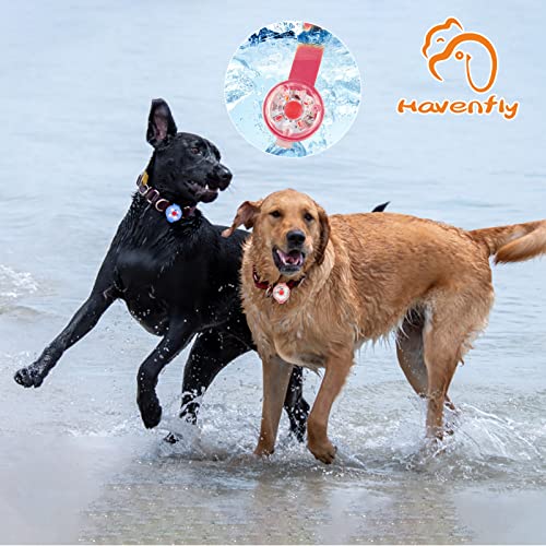 Luz Intermitente LED de Seguridad para Perros, Gatos - Luz LED Colgante USB Recargable para Perro, 3 Modos Intermitentes Luces de Seguridad Impermeables para Mascotas (Red+Blue, 2)
