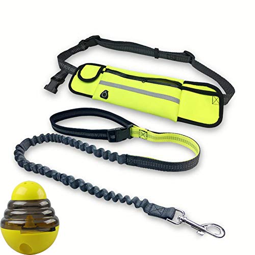 LXB Correa retráctil para Perros, Correr a Prueba de Agua Correr Caminar Correa para Perros Mano elástica libremente Productos para Mascotas Correa de Cintura Ajustable Correa de tracción