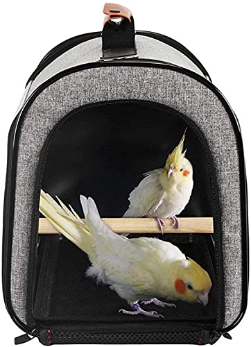 LXNQG Travel Bird Cage Bird Travel Carrier Transparente portátil Parrot Jaula de pájaro Mochila de Asas con Doble Cremallera Diseño Caja de Transporte de Aves Ligero Ligero Portador de Aves