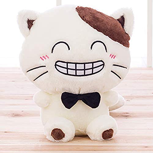 LXZSP Juguetes de Peluche Lindo Gato de Cara Grande muñeca Grande Almohada Linda muñeca Gato muñeca Regalo de cumpleaños Enviar Novia Juguete de Peluche Regalos de cumpleaños, Adornos