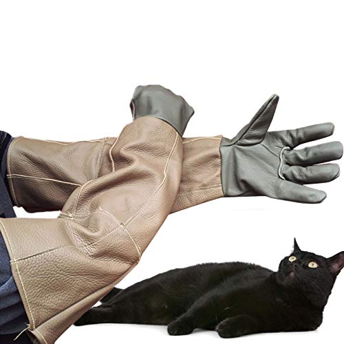 LY-Rack Guantes British Shorthair Anti Mordida Guantes para manejo de Mascotas Arañazo de Cuero Duradero para Perro Gato pájaro Serpiente Lagarto Animales Salvajes y Guantes de jardinería