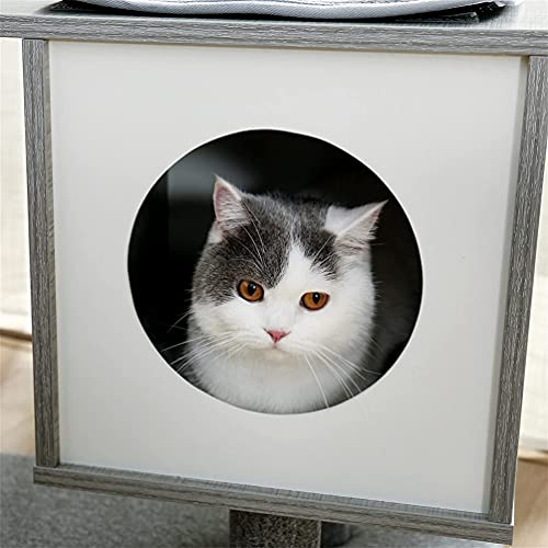 M I A Árbol de gato, torre de gato, condominio de sisal, rascador con plataforma de salto y anillo de gato, centro de actividades para gatos, casa de juegos para gatitos (color gris)