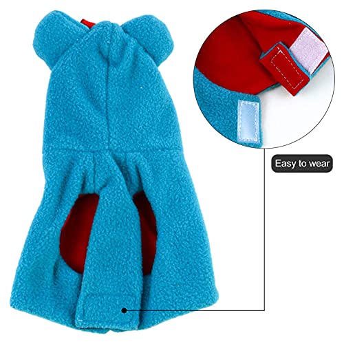 M I A Disfraz de loro, para pañales, para pájaros, ropa de animales pequeños, para periquito, cumpleaños, Navidad, fiesta, para mascotas, cosplay, foto de color azul cielo S (talla L: