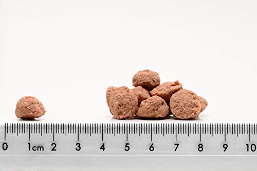 Magnusson Comida para Perro para Adultos y Galletas