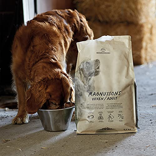 Magnusson Comida para Perro para Adultos y Galletas