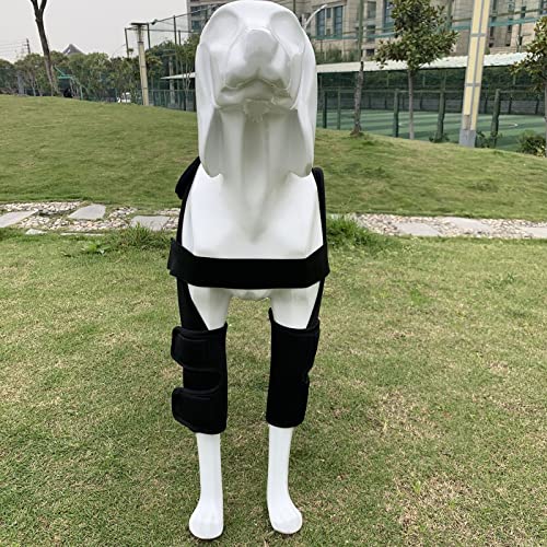 Mangas De Recuperación Después De La Cirugía Del Perro, Protector De Patas Delanteras Para Perros, 1 Par De Protectores De Heridas Para La Pierna Delantera Del Perro, Que Cura Las Lesiones, Esguinces