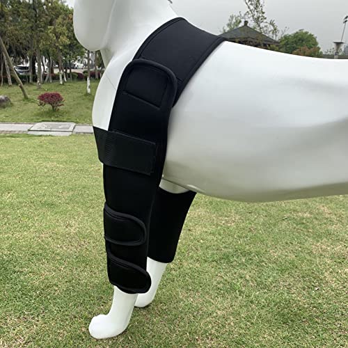 Mangas De Recuperación Después De La Cirugía Del Perro, Protector De Patas Delanteras Para Perros, 1 Par De Protectores De Heridas Para La Pierna Delantera Del Perro, Que Cura Las Lesiones, Esguinces