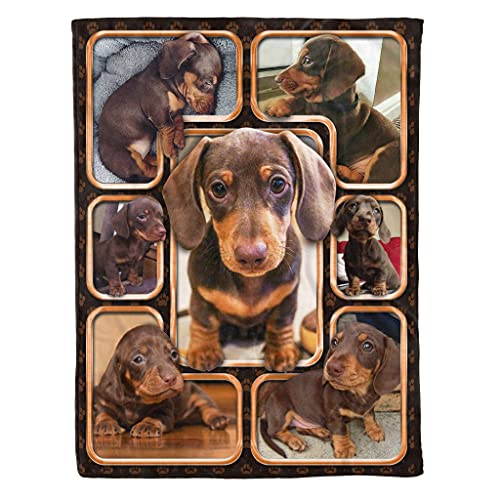 Manta de felpa para perro de perro de perro de Dachshund, manta de forro polar, regalo significativo para la familia