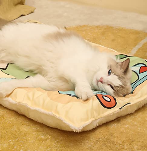 Manta Para Perros Alfombra Para Perros，Linda Manta Para Mascotas，Estera de Manta Para Mascotas, Manta Gruesa y Cálida Para Dormir，cálida, Suave, Esponjosa ( Color : C , Size : 20x18x1.5in(52x45x4cm) )
