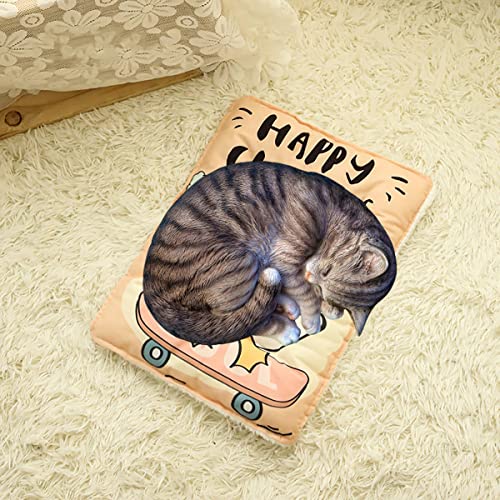 Manta Para Perros Alfombra Para Perros，Linda Manta Para Mascotas，Estera de Manta Para Mascotas, Manta Gruesa y Cálida Para Dormir，cálida, Suave, Esponjosa ( Color : C , Size : 20x18x1.5in(52x45x4cm) )
