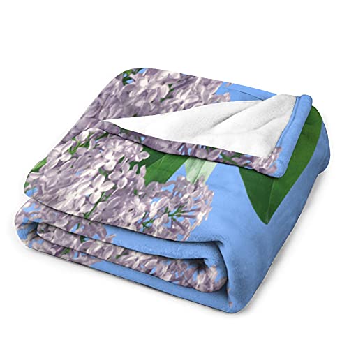 Manta suave de franela antialérgica de 30 x 40 pulgadas, diseño de la naturaleza, hermosa lila, púrpura, para mascotas, perros, gatos, animales de caballo, tamaño pequeño