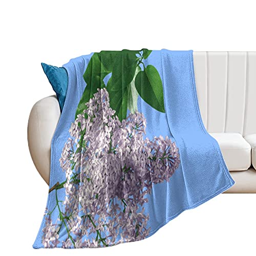 Manta suave de franela antialérgica de 30 x 40 pulgadas, diseño de la naturaleza, hermosa lila, púrpura, para mascotas, perros, gatos, animales de caballo, tamaño pequeño