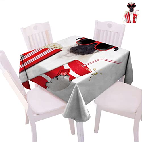 Manteles cuadrados, para perros, para ir a las películas, para perros, refrescos de animales, para fiestas, 50 pulgadas de ancho x 50 pulgadas de largo, color crema y negro