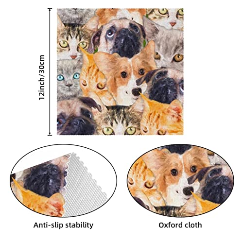 Manteles individuales antideslizantes de 30,5 x 30,5 cm, divertidos gatos y perros, resistentes a las manchas, lavables de tela Oxford