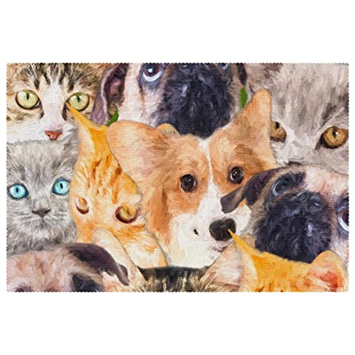 Manteles individuales antideslizantes de 30,5 x 45,7 cm, divertidos gatos y perros, resistentes a las manchas, lavables de tela Oxford