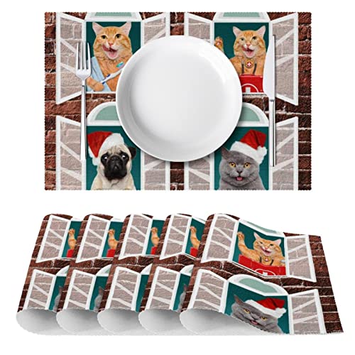 Manteles individuales antideslizantes de 30,5 x 45,7 cm, divertidos gatos y perros, resistentes a las manchas, lavables de tela Oxford