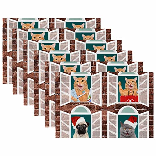 Manteles individuales antideslizantes de 30,5 x 45,7 cm, divertidos gatos y perros, resistentes a las manchas, lavables de tela Oxford