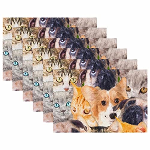 Manteles individuales antideslizantes de 30,5 x 45,7 cm, divertidos gatos y perros, resistentes a las manchas, lavables de tela Oxford