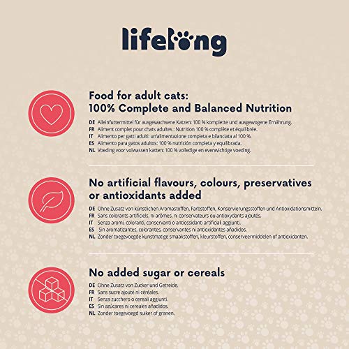 Marca Amazon - Lifelong Cat Food - Paté con vacuno, Paquete de 16 x 100g