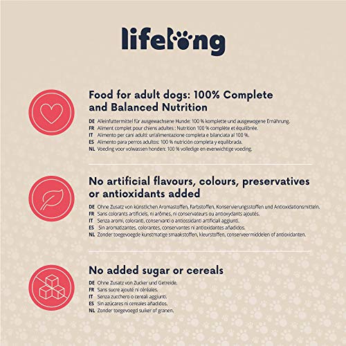 Marca Amazon - Lifelong Dog Food - Paté con vacuno, Paquete de 10 x 300g
