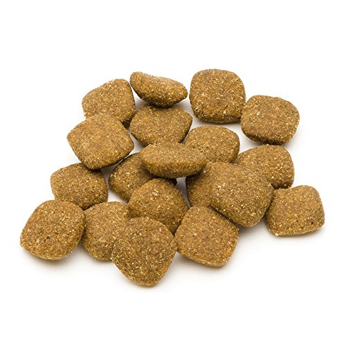 Marca Amazon - Solimo - Alimento seco completo para perro adulto rico en cordero y arroz, 1 Pack de 5 kg