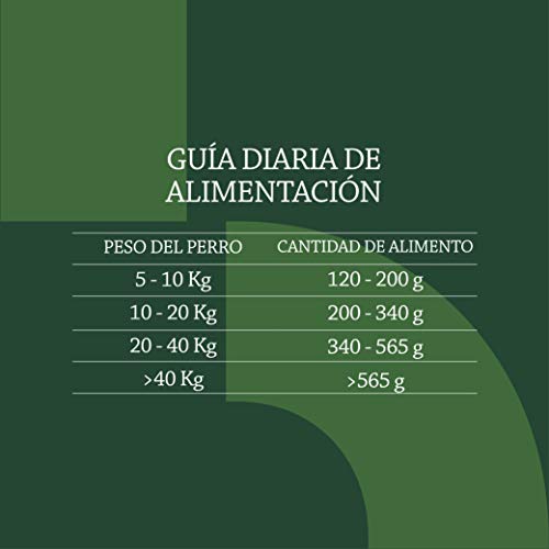 Marca Amazon - Solimo - Alimento seco completo para perro adulto rico en cordero y arroz, 1 Pack de 5 kg