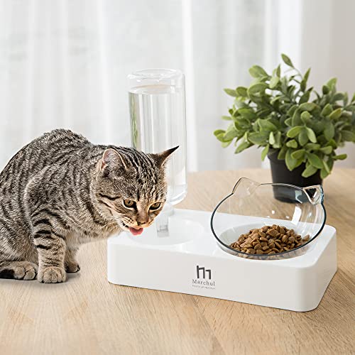 Marchul Cuencos Gatos, Cuenco A gua Comida Por Gravedad Gatos y Perros Pequeños, Cuencos Alimentación Gatos Elevados Inclinados