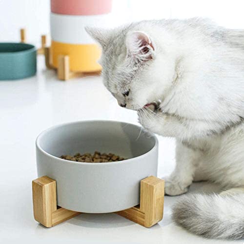 Marco de madera de cerámica de varios colores Marco de gato Cuenco de gato Accesorios para gatos Cuenco de piedra para mascotas Cuenco de cerámica Cuenco mediano Alfombra lavable