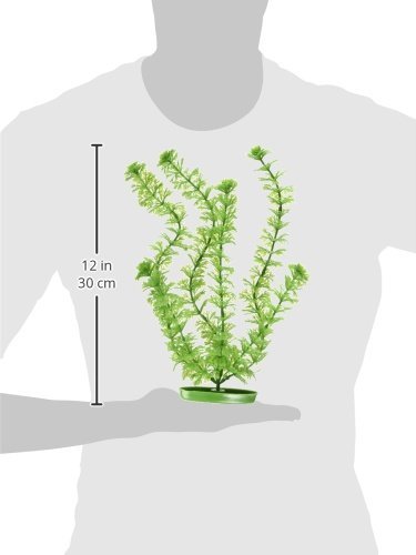 Marina Plantas Plásticas Aquascaper Grandes Ambulia, 30 cm