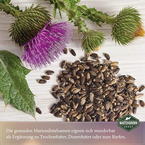 Martenbrown® Semillas de cardo mariano para desintoxicación hepática y metabolismo para caballos, perros y gatos, semillas completas de cardo mariano sin aditivos, producto 100% natural (5 kg)