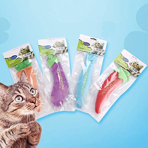 Mascota Gatito Gatito Suave Zanahoria Berenjena Forma Felpa Catnip Molar mordida mastica Chile*